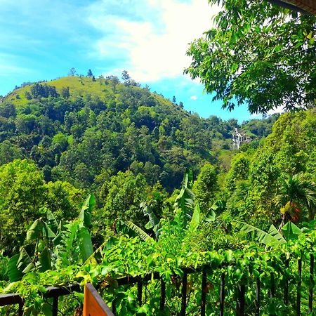 Ever Green Mount Ella Exterior foto