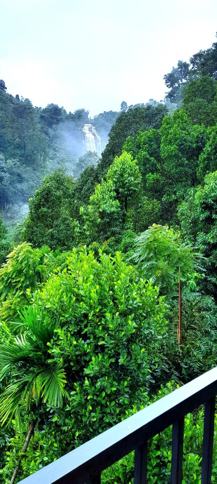 Ever Green Mount Ella Exterior foto