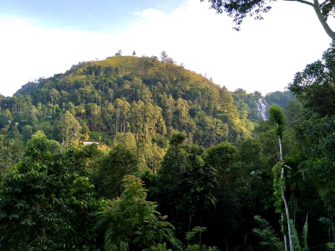 Ever Green Mount Ella Exterior foto