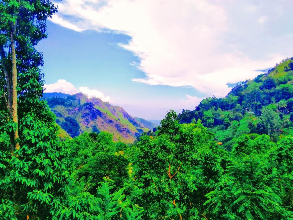 Ever Green Mount Ella Exterior foto